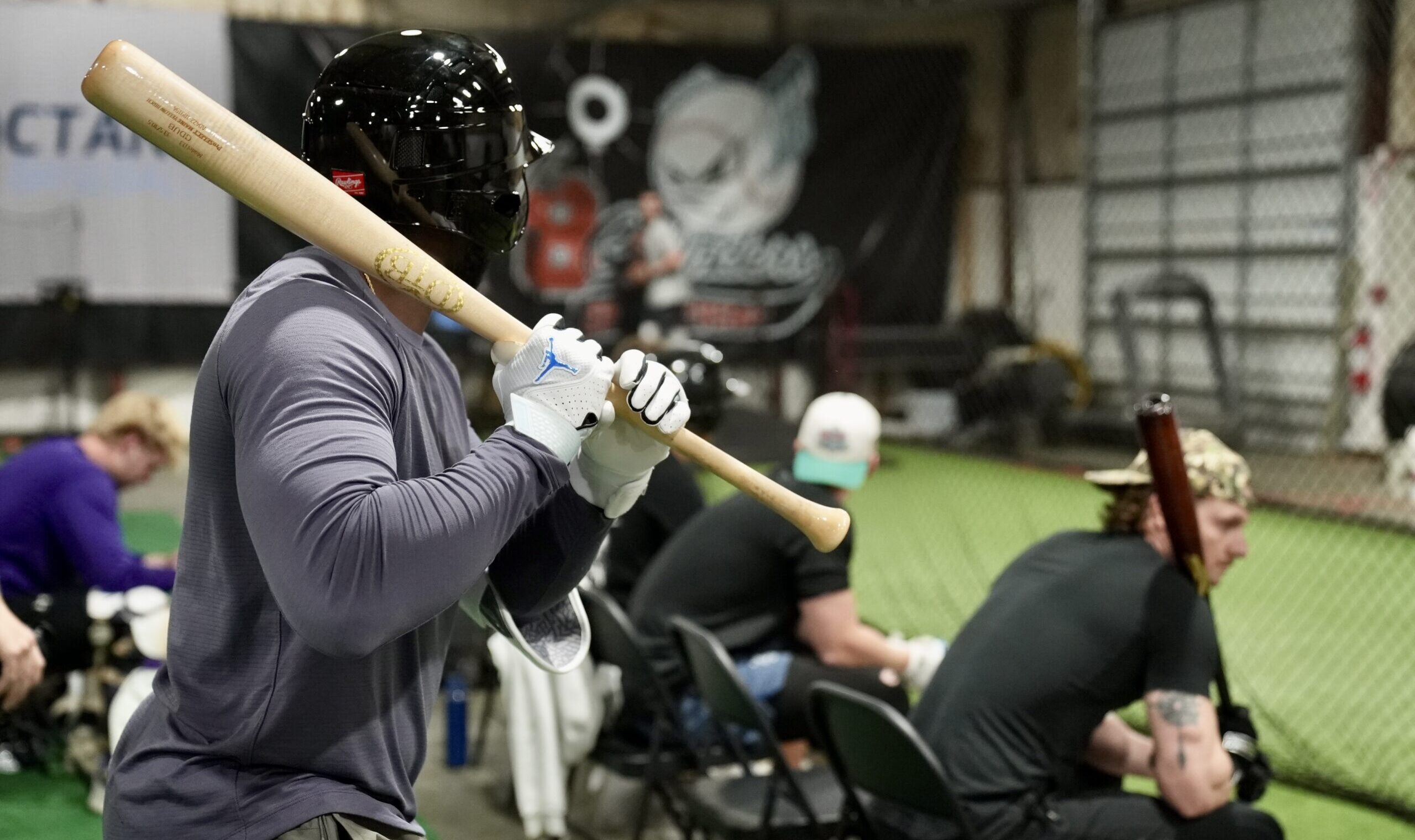 Beyond Batting Lessons